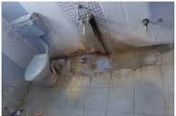 Before Bathroom