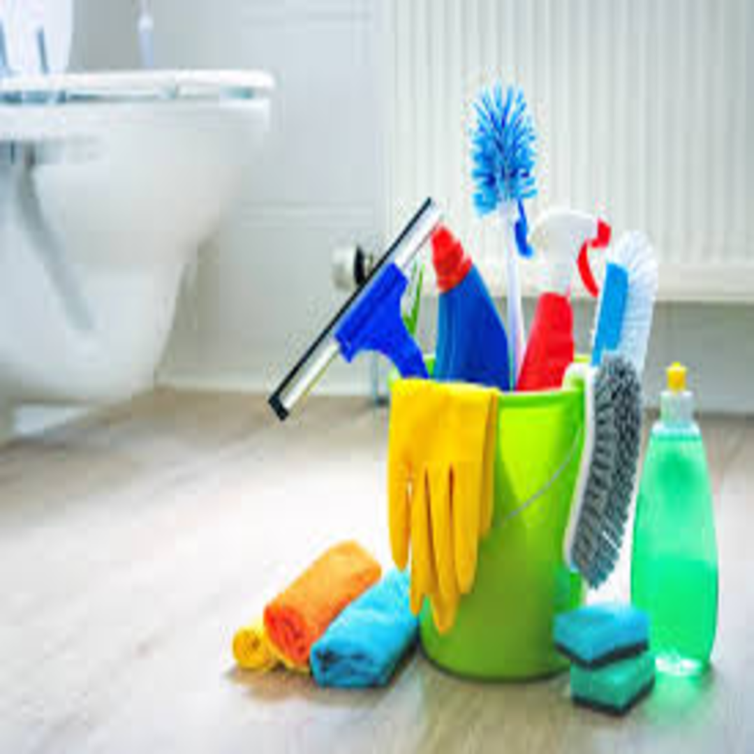 Bathroom Cleaning